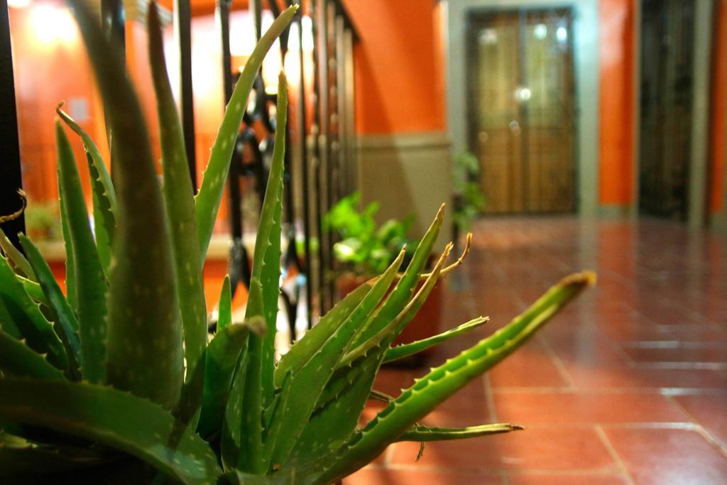 Parador San Fernando オアハカ州 エクステリア 写真